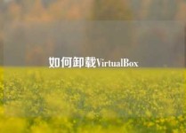 如何卸载VirtualBox