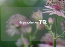 shopex,shopee下载