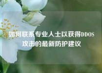如何联系专业人士以获得DDOS攻击的最新防护建议