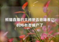 熊猫直播的关闭是否意味着它的所有者破产了