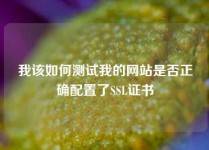 我该如何测试我的网站是否正确配置了SSL证书
