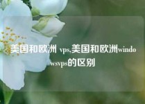 美国和欧洲 vps,美国和欧洲windowsvps的区别