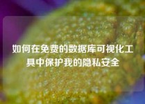 如何在免费的数据库可视化工具中保护我的隐私安全