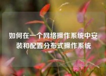 如何在一个网络操作系统中安装和配置分布式操作系统