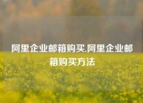 阿里企业邮箱购买,阿里企业邮箱购买方法