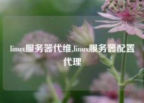 linux服务器代维,linux服务器配置代理