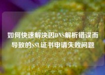 如何快速解决因DNS解析错误而导致的SSL证书申请失败问题