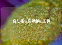 自动换ip,自动换ip工具