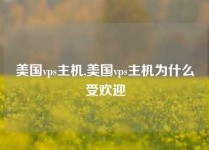 美国vps主机,美国vps主机为什么受欢迎
