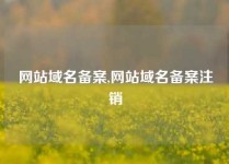 网站域名备案,网站域名备案注销