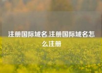 注册国际域名,注册国际域名怎么注册