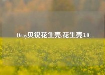 Oray贝锐花生壳,花生壳3.0