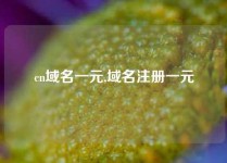cn域名一元,域名注册一元
