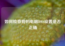 如何检查我的电脑DNS设置是否正确