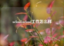 ucloud,ucloud工作怎么样