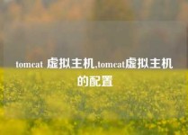 tomcat 虚拟主机,tomcat虚拟主机的配置