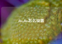 dns,dns怎么设置