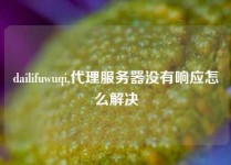 dailifuwuqi,代理服务器没有响应怎么解决