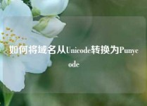 如何将域名从Unicode转换为Punycode