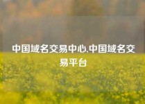 中国域名交易中心,中国域名交易平台