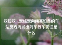 双线双ip,双线双向闭塞设备的车站反方向发出列车行车凭证是什么