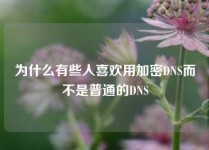 为什么有些人喜欢用加密DNS而不是普通的DNS
