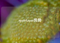 zpanel,zpan优势
