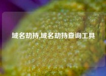 域名劫持,域名劫持查询工具