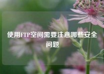使用FTP空间需要注意哪些安全问题