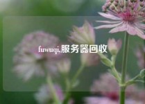 fuwuqi,服务器回收