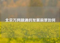 北京万网融通的发展前景如何