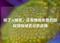 除了.tk域名，还有哪些免费的国际顶级域名可供选择