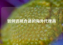 如何选择合适的海外代理商