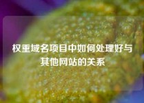 权重域名项目中如何处理好与其他网站的关系