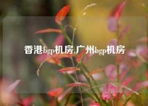 香港bgp机房,广州bgp机房