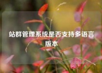 站群管理系统是否支持多语言版本