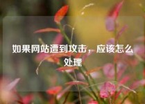 如果网站遭到攻击，应该怎么处理