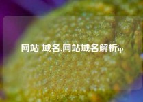 网站 域名,网站域名解析ip