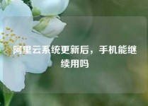 阿里云系统更新后，手机能继续用吗