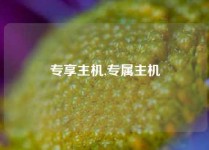 专享主机,专属主机