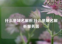 什么是域名解析,什么是域名解析服务器