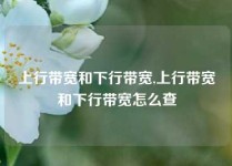 上行带宽和下行带宽,上行带宽和下行带宽怎么查