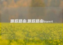跟踪路由,跟踪路由tracert