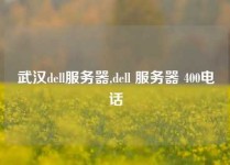武汉dell服务器,dell 服务器 400电话