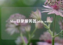 ldap目录服务器,ldap server