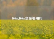 100m,100m宽带够用吗