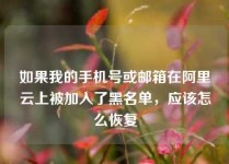 如果我的手机号或邮箱在阿里云上被加入了黑名单，应该怎么恢复