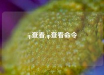 ip查看,ip查看命令