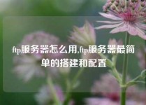 ftp服务器怎么用,ftp服务器最简单的搭建和配置