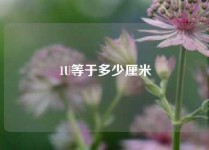 1U等于多少厘米